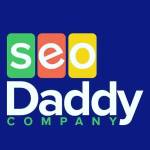 Seo Daddy Company Profile Picture