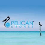 Pelican Drones