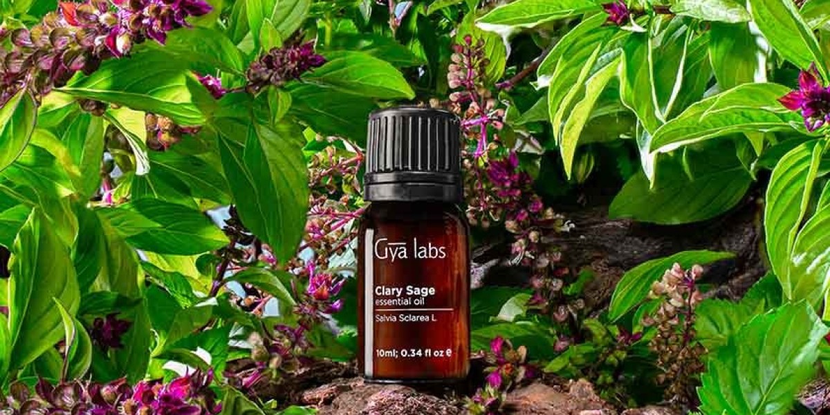 Where to Buy Clary Sage Oil: Discover Quality Sources for Aromatherapy