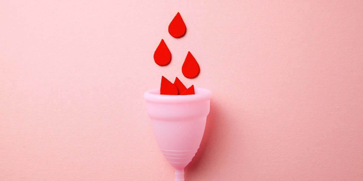 Changing Reimbursement Policies Bound to Push the Menstrual Cup Market  Share