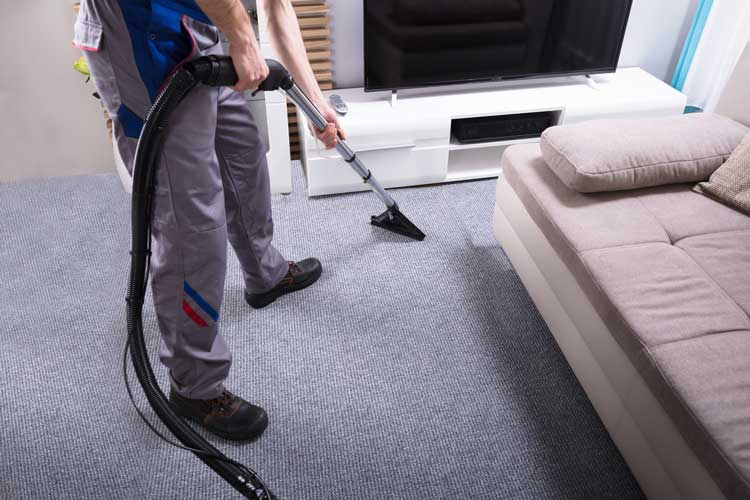 Carpet Cleaning Hamilton | Local . Trusted . Quick . Professional