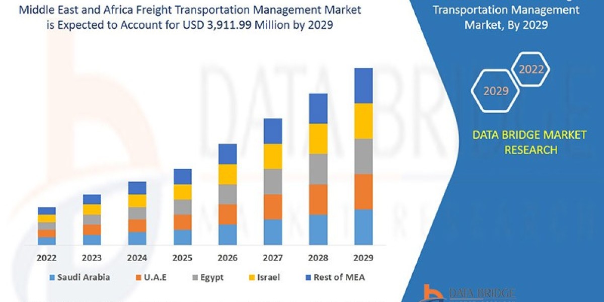 Middle East and Africa Freight Transportation Management Market Key Strategies, Upcoming Trends and Regional Forecast