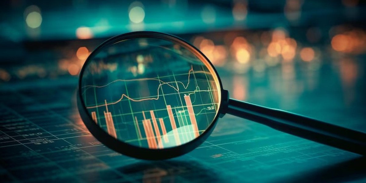 Insurance Analytics Market By Current Industry Status, Growth Opportunities, Top Key Players, And Forecast For 2024-2030