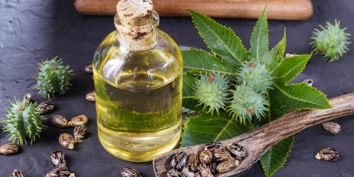 Castor Oil Market in MENA: Components, Analysis, and Forecast (2020-2031)