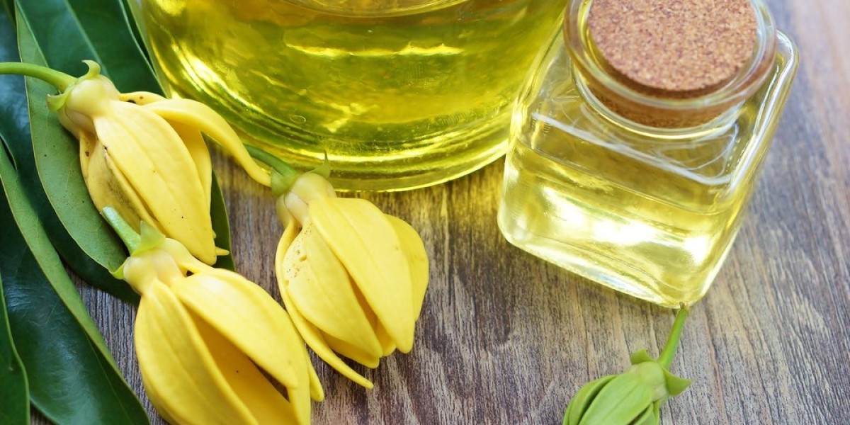 Scented Success: An In-depth Analysis of the Ylang Ylang Extract Market