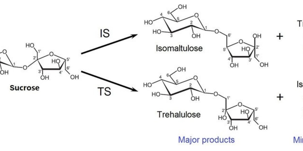 The Rise of Isomaltulose: Trends and Opportunities in a Growing Market