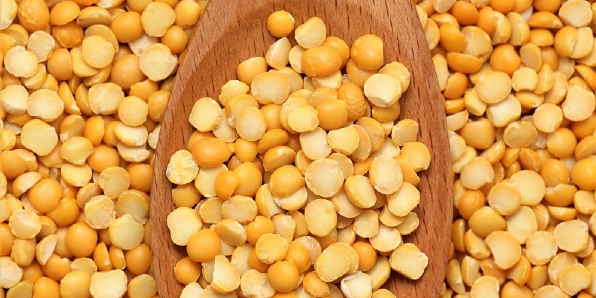 Fueling the Future: Exploring the Growth of the Yellow Pea Protein Market