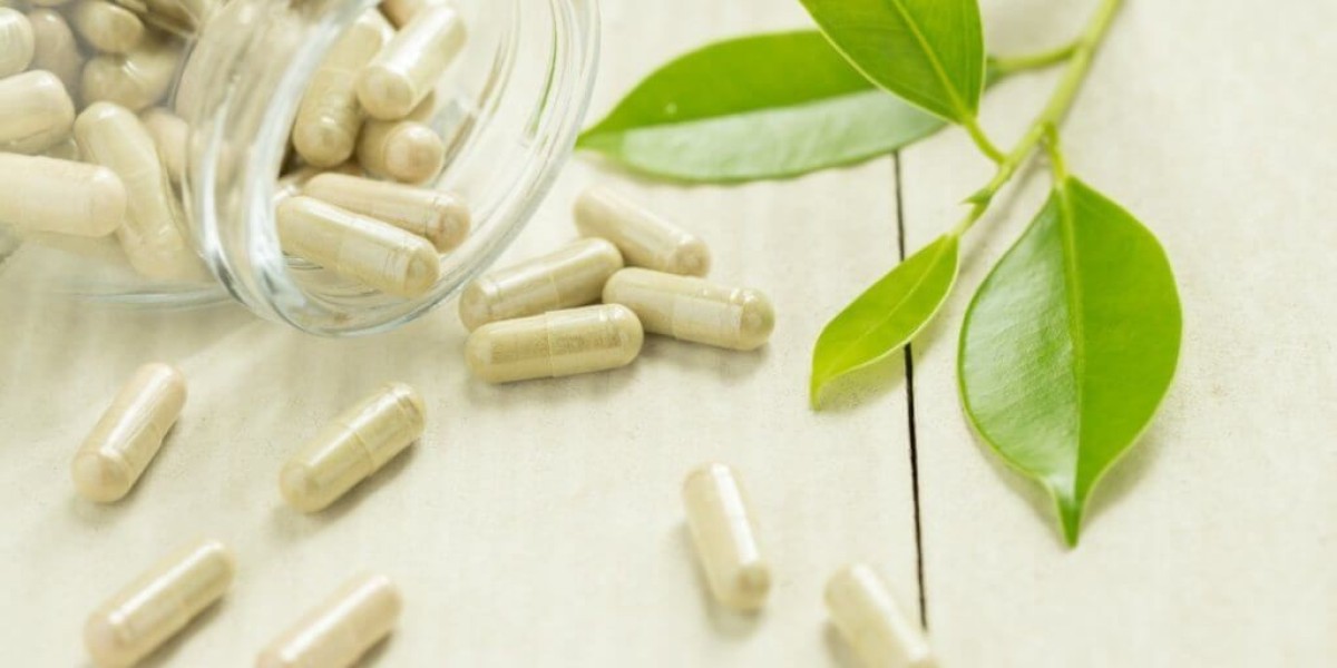 Energizing the Future: Exploring Trends in the Energy Supplements Market