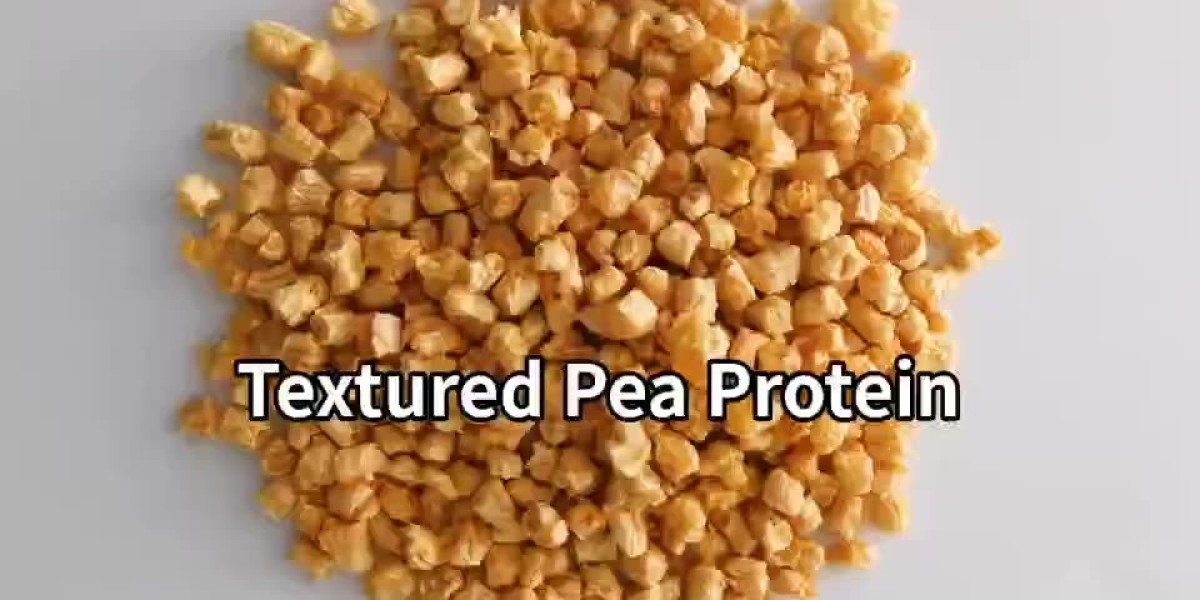 Growing Demand: Textured Pea Protein Market Trends