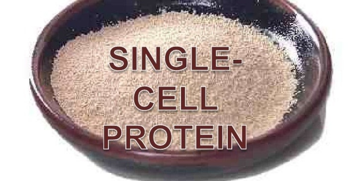 Nourishing Immunity: The Rising Role of Single Cell Protein in Health Trends