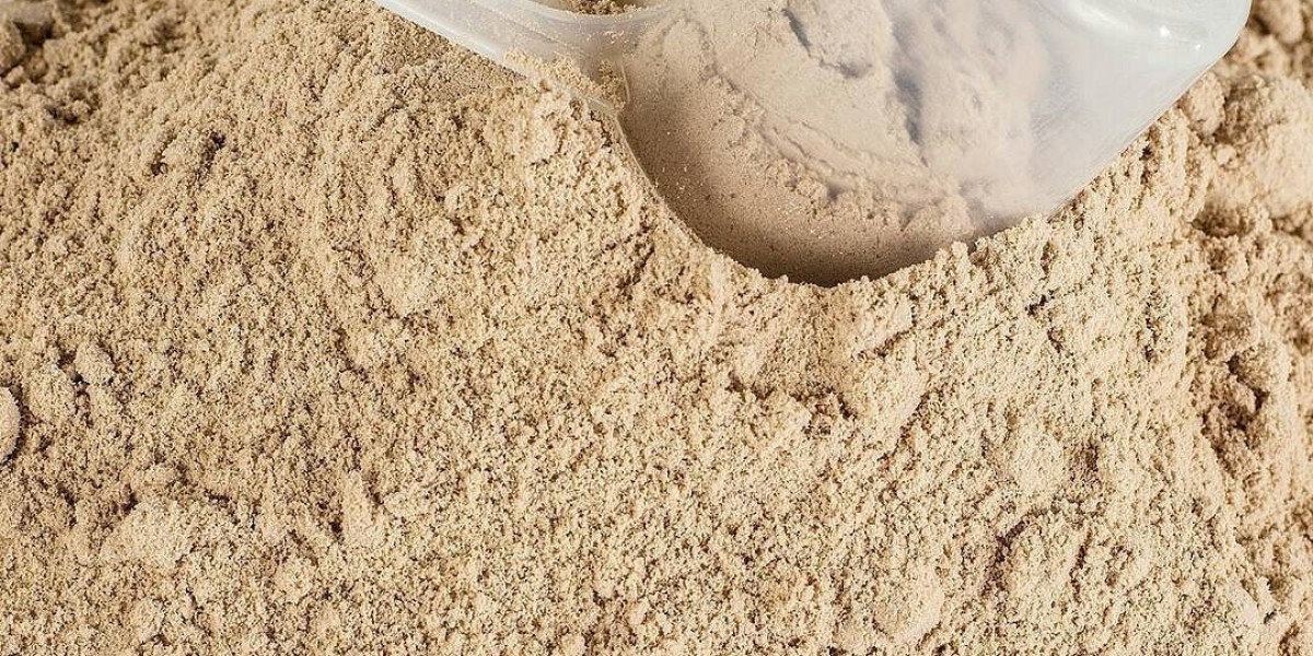 Growth Trajectory: Beef Protein Powder Market Predicted to Surge at 6% CAGR