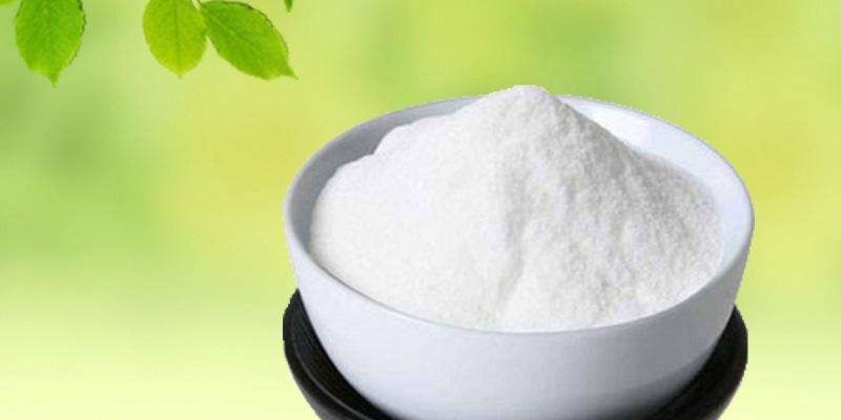 Exploring the Global Inulin and Fructooligosaccharide Market: Trends and Insights