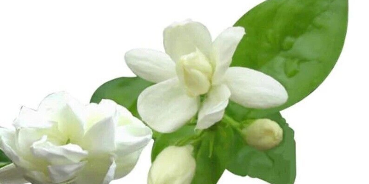 The Blossoming Business: A Deep Dive into the Jasmine Extract Market