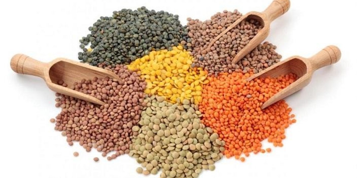 Rising Demand for Plant-Based Diets: The Lentil Protein Market