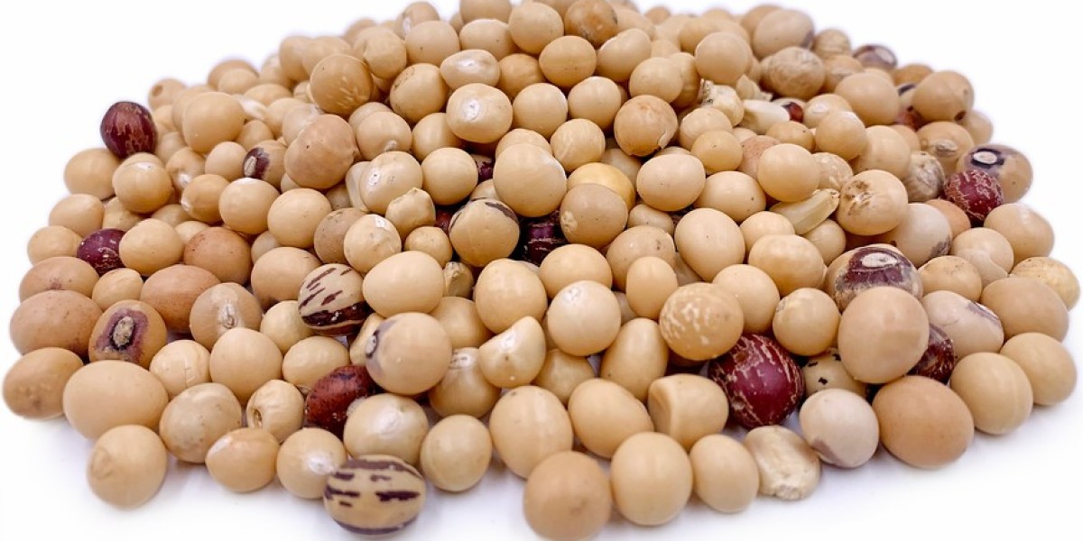 Potential of Bambara Beans: A Future Superfood
