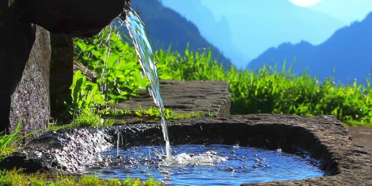 The Rise of Spring Water: Trends and Future Prospects