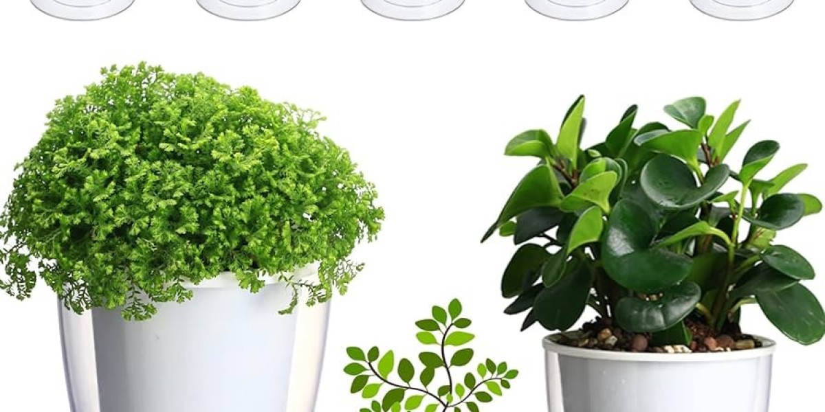 The Growth Trajectory of the Self-Watering Pot Market: Trends and Forecasts
