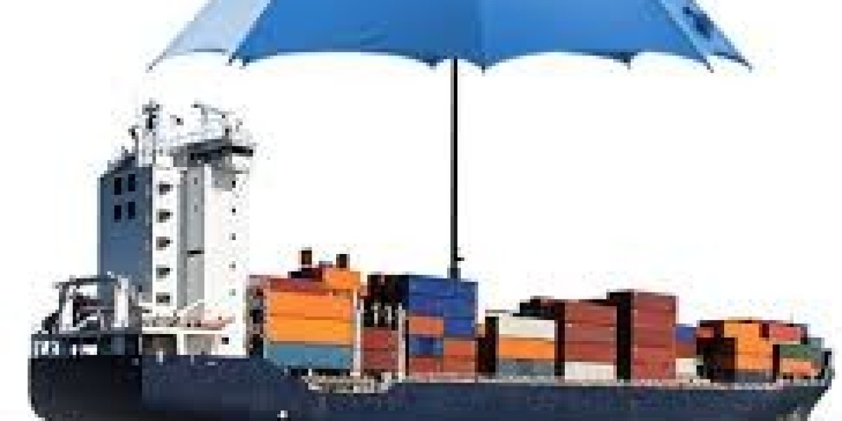 The Evolution of the Cargo Insurance Market: Trends and Innovations