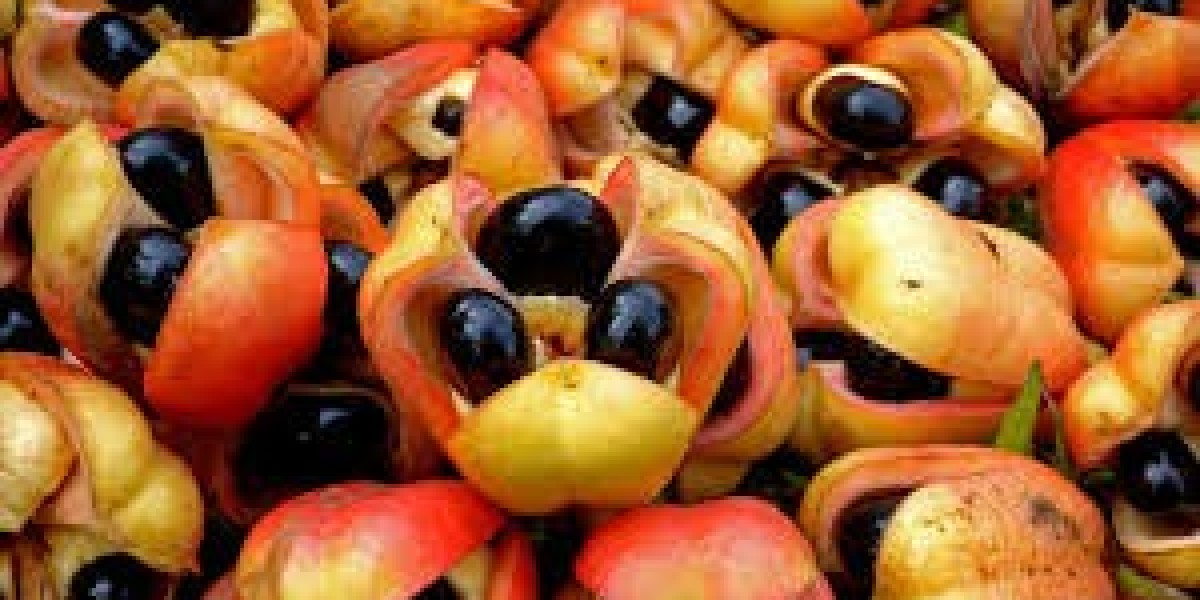 Best 13 Ackee Fruit Health Benefits