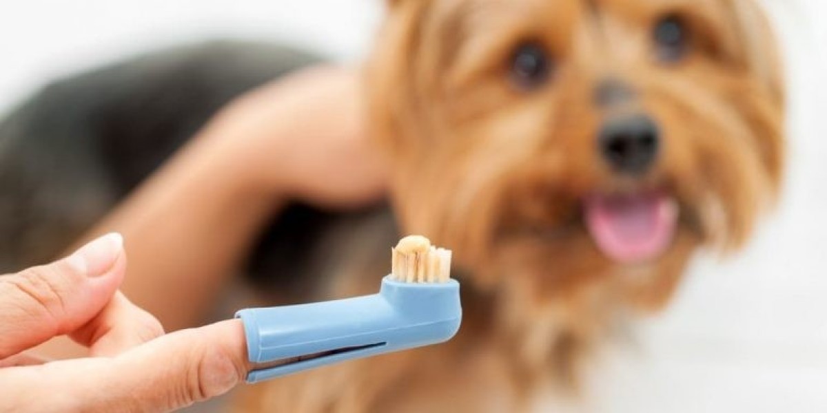 The Growing Demand for Pet Toothpaste: Trends and Insights