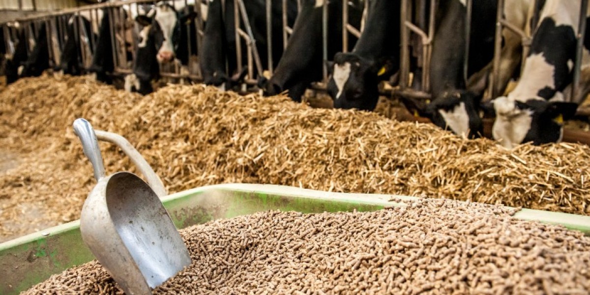 Animal Feed Enzymes Market Dynamics: Key Drivers and Challenges