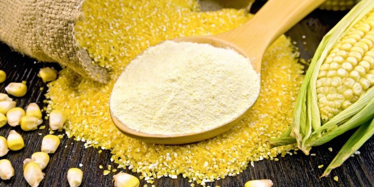 Global Precooked Corn Flour Market Trends and Forecasts