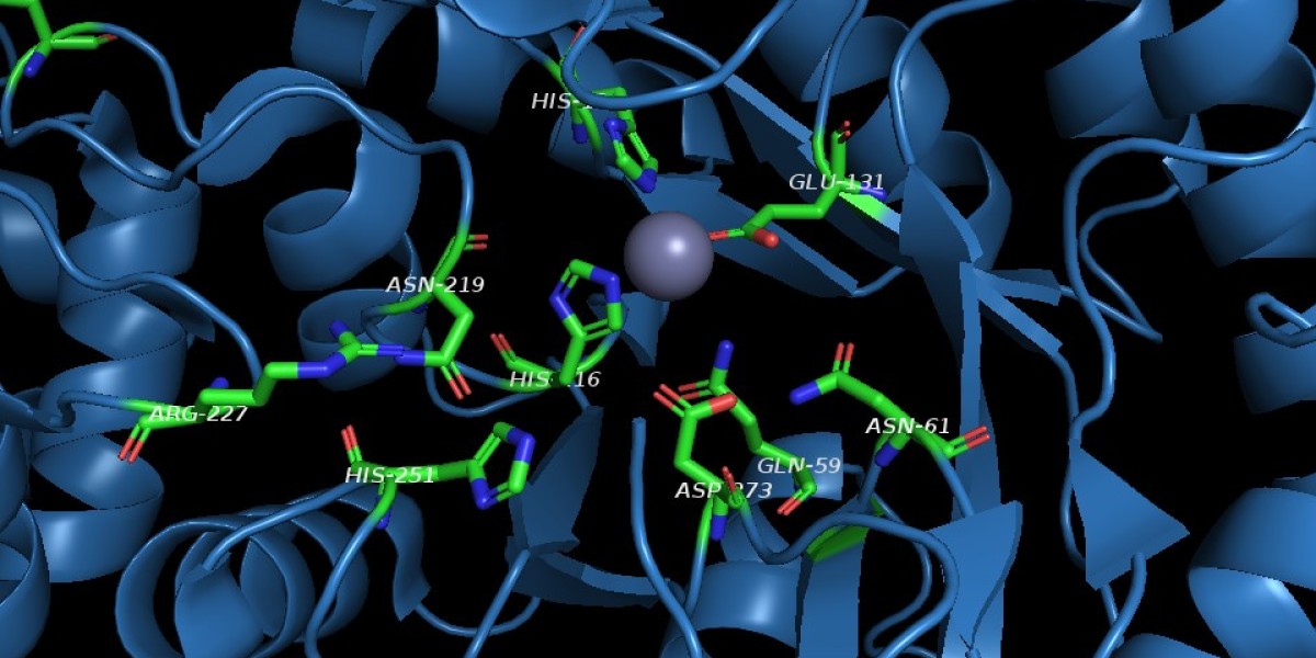 Global Acetylglucosamine Market: Trends, Growth Drivers, and Future Outlook