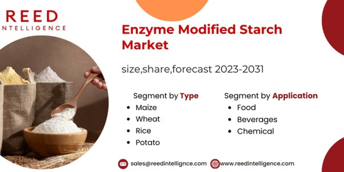 Enzyme Modified Starch Market Market Size, Share, and Comprehensive Industry Analysis 2024-2032