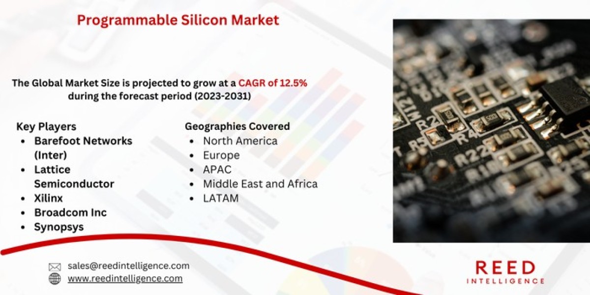 Programmable Silicon Market Market Segmentation, Regional Insights, and Top Players 2024-2032