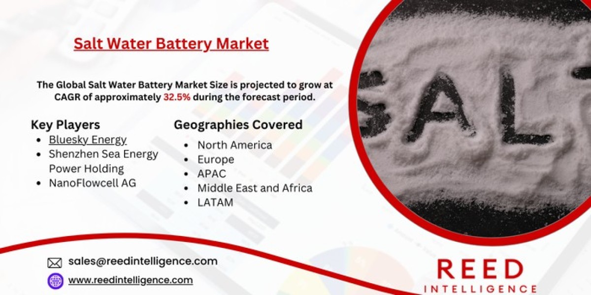 Salt Water Battery Market Market Segmentation, Regional Insights, and Top Players 2024-2032