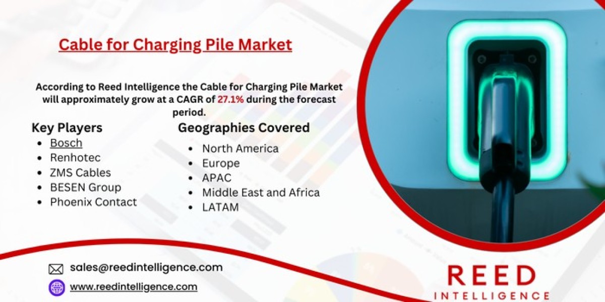 Cable for Charging Pile Market Market Comprehensive Overview: Statistics, Insights, and Opportunities 2024-2032