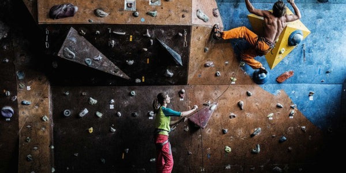 Scaling Heights: Trends Driving the Expansion of the Climbing Gym Industry