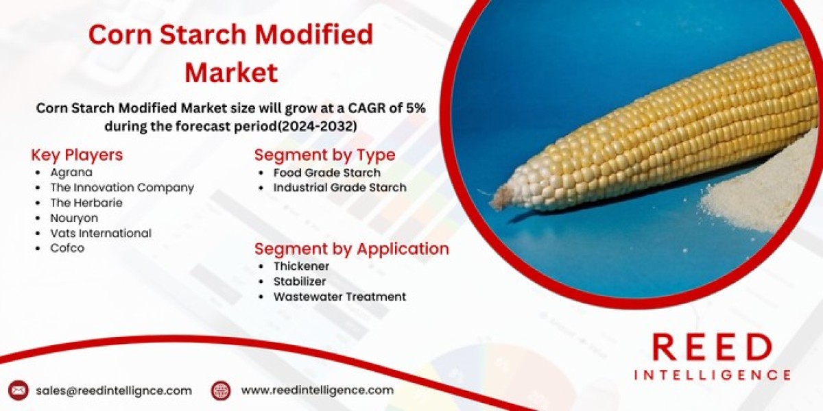 Corn Starch Modified Market Market Size, Share, and Comprehensive Industry Analysis 2024-2032