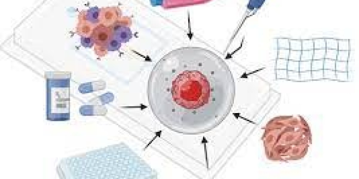 Cell Culture Processing Aids Market: Size, Share, CAGR, Trends, Growth, Analysis, Statistics & Forecast